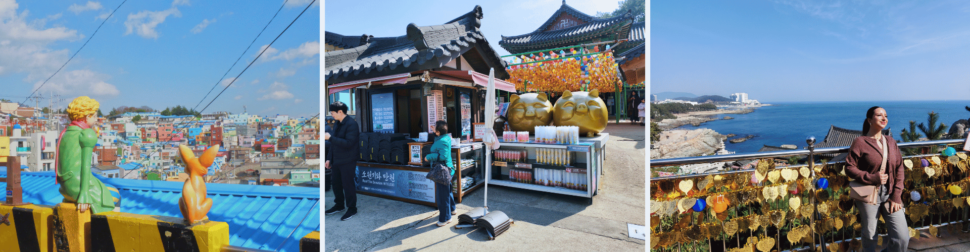 Busan Busan 9 WOLO Travel